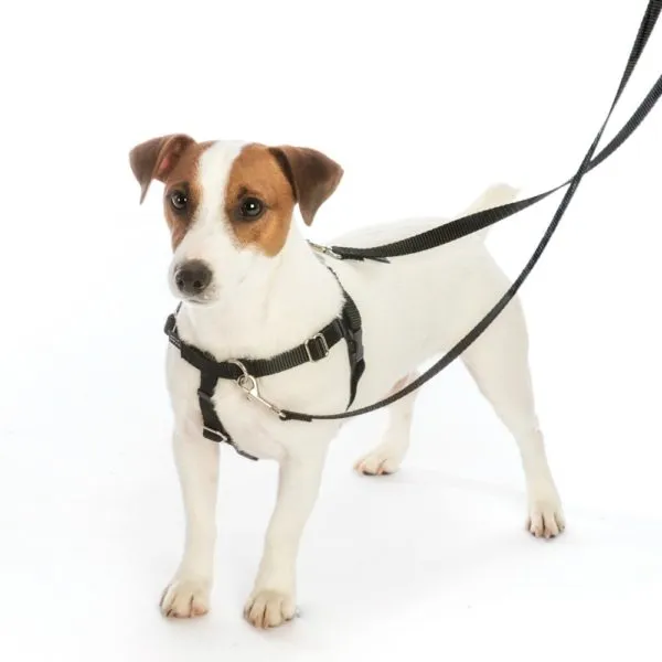 Elf Shoes Freedom No-Pull Dog Harness – EarthStyle