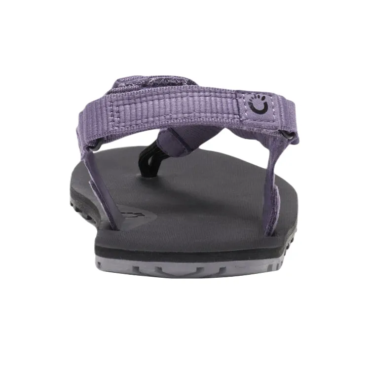 Xero H-Trail Sage Purple